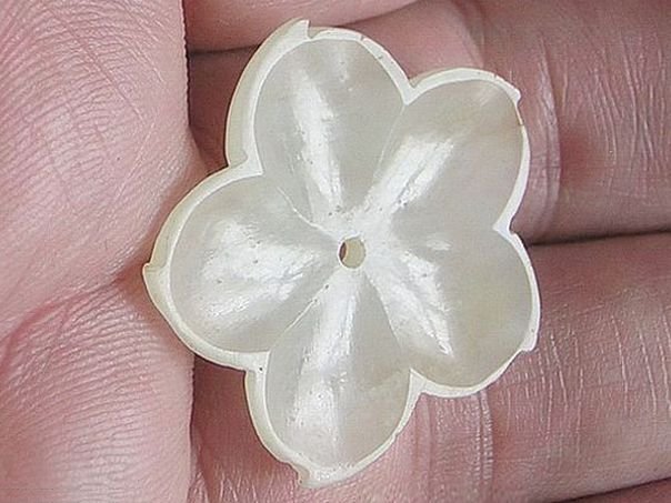 Flower 367 - (3590)